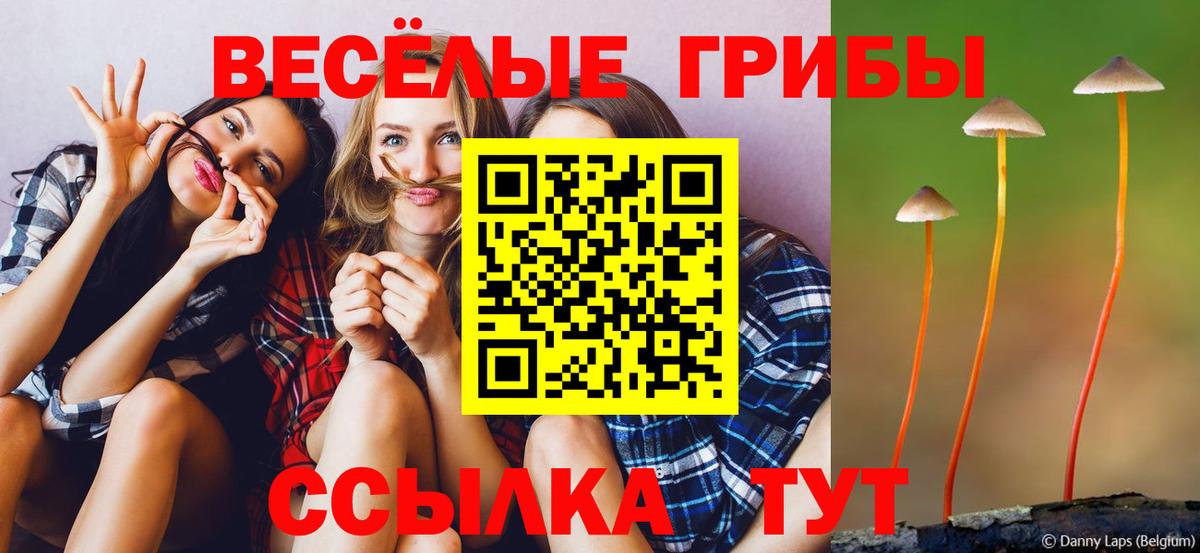 Галлюциногенные грибы Magic Shrooms  Вход с VPN  Тара 